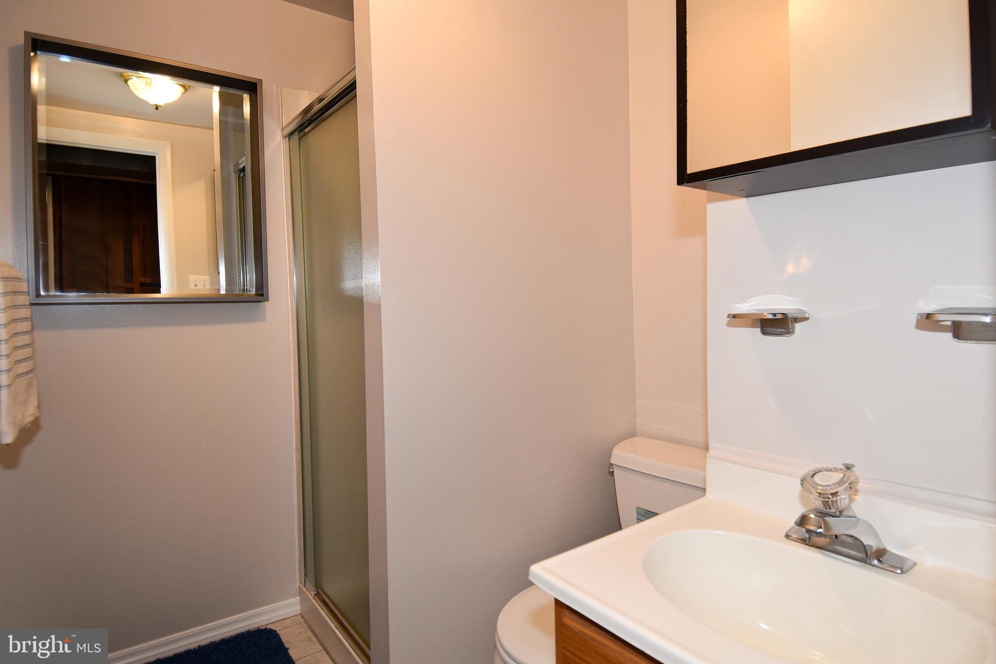2412 Alsop Court Reston, VA 20191 - Photo 34 of 44 Full bath in the basement (that makes 3 full ones)