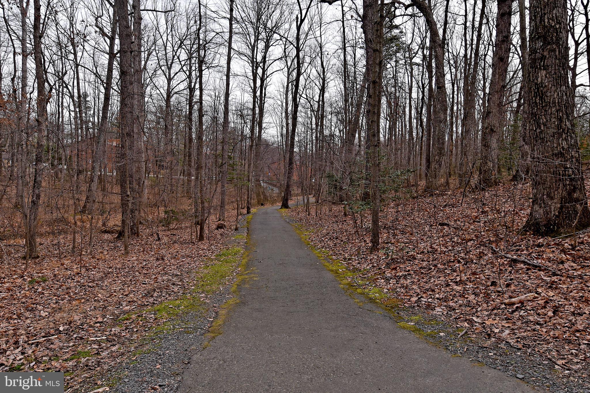 2412 Alsop Court Reston, VA 20191 - Photo 40 of 44 Jogging/bike paths around the neighborhood