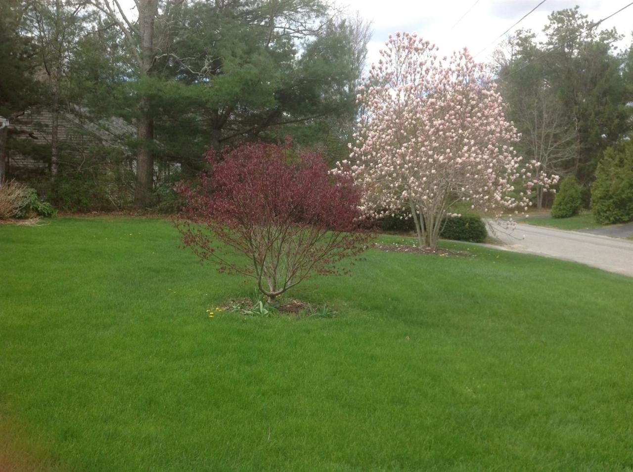 110 Guildford Road Centerville, MA 02632 - Photo 23 of 25 a view of an outdoor space with a lake view