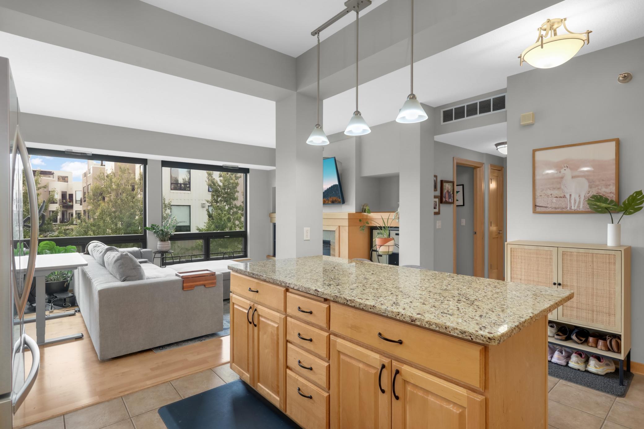 284 Spring Street, Unit 307 St. Paul, MN 55102 - Photo 3 of 25 Gallery Image 3