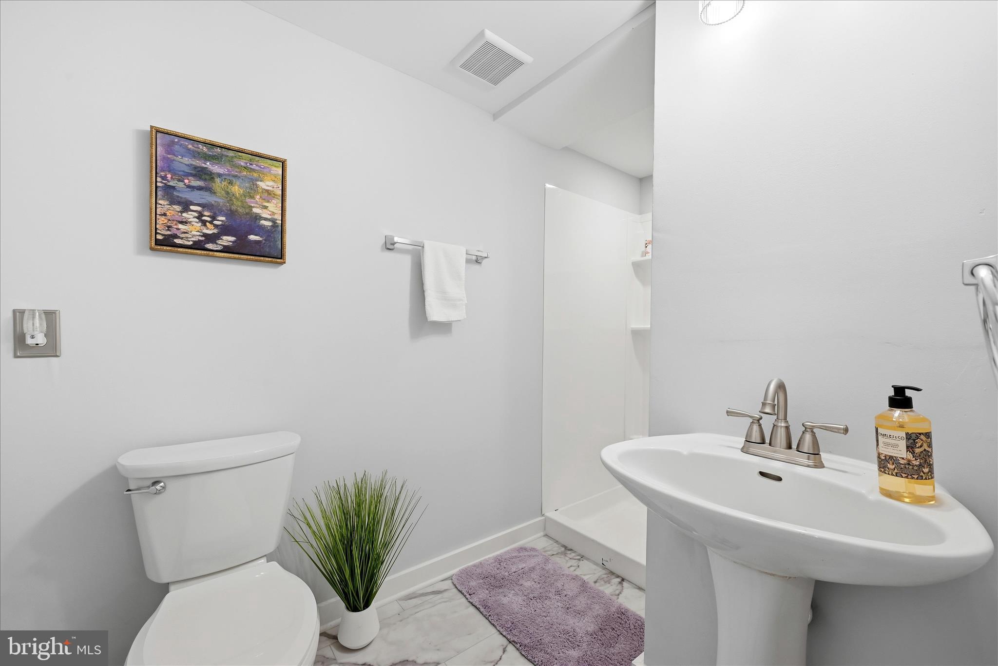 311 South Buckmarsh Street Berryville, VA 22611 - Photo 33 of 47 Bathroom