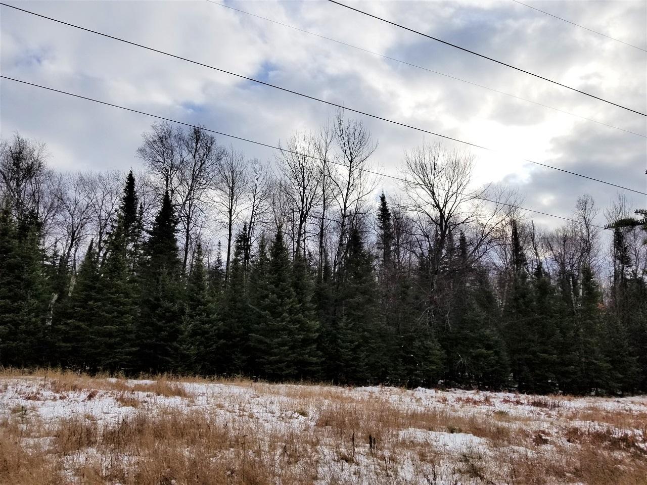 Lot 1 Weber Lake Road Mercer, WI 54547 - Photo 10 of 15 Gallery Image 10