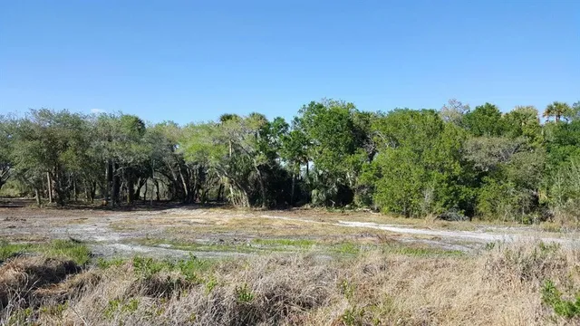 a view of outdoor space with trees