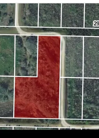 a green field with lots of trees