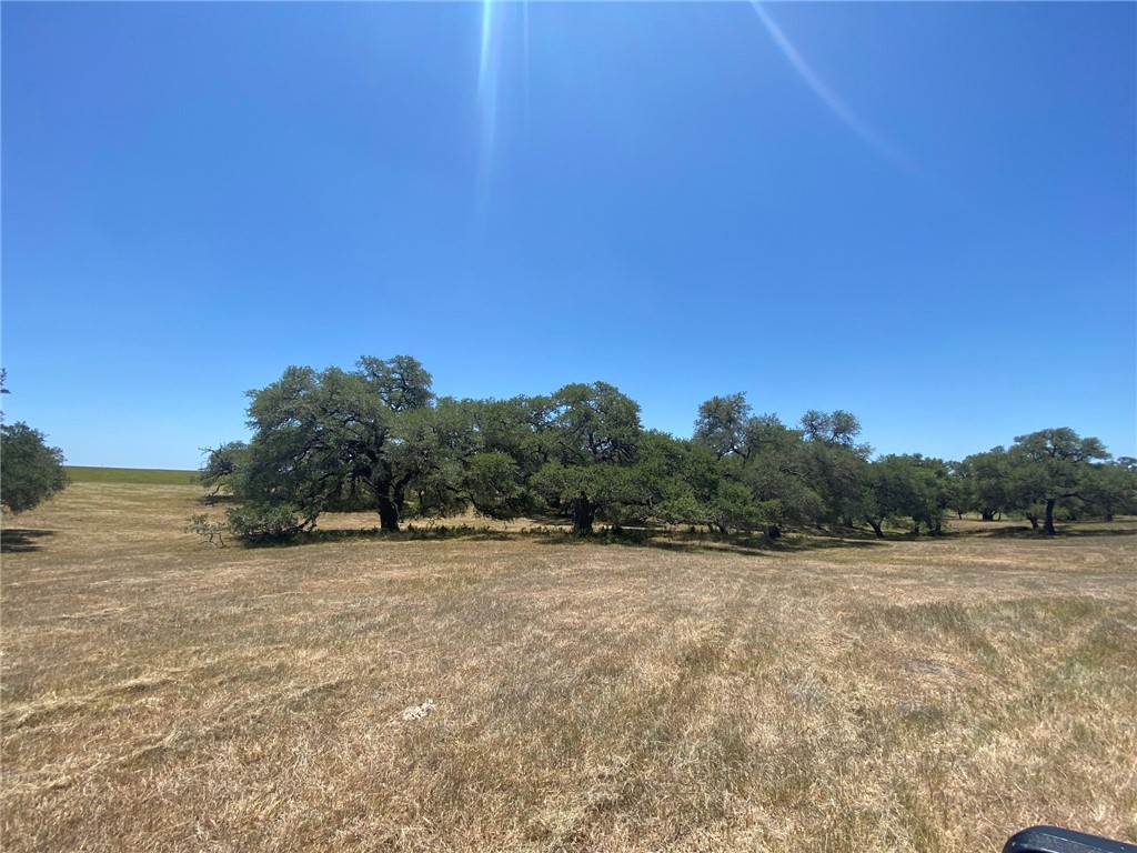2 Roitsch Road Schulenburg, TX 78956 - Photo 1 of 1