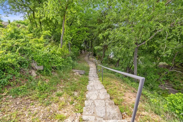 a view of a lake with a tree