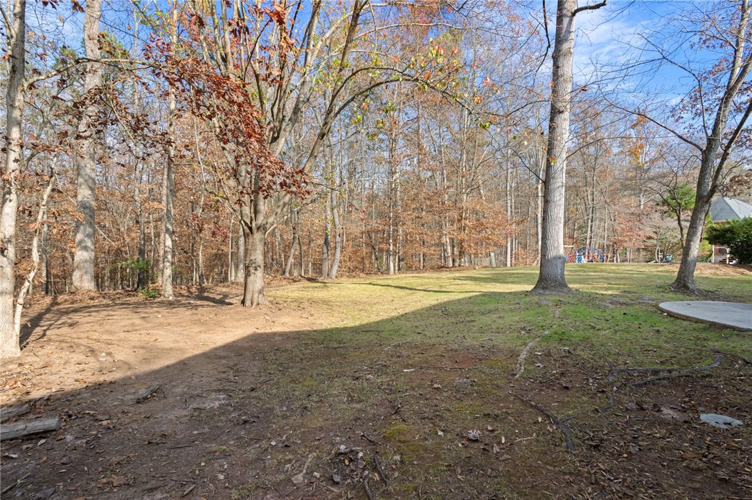 205 Catawbah Road Clemson, SC 29631 - Photo 44 of 49