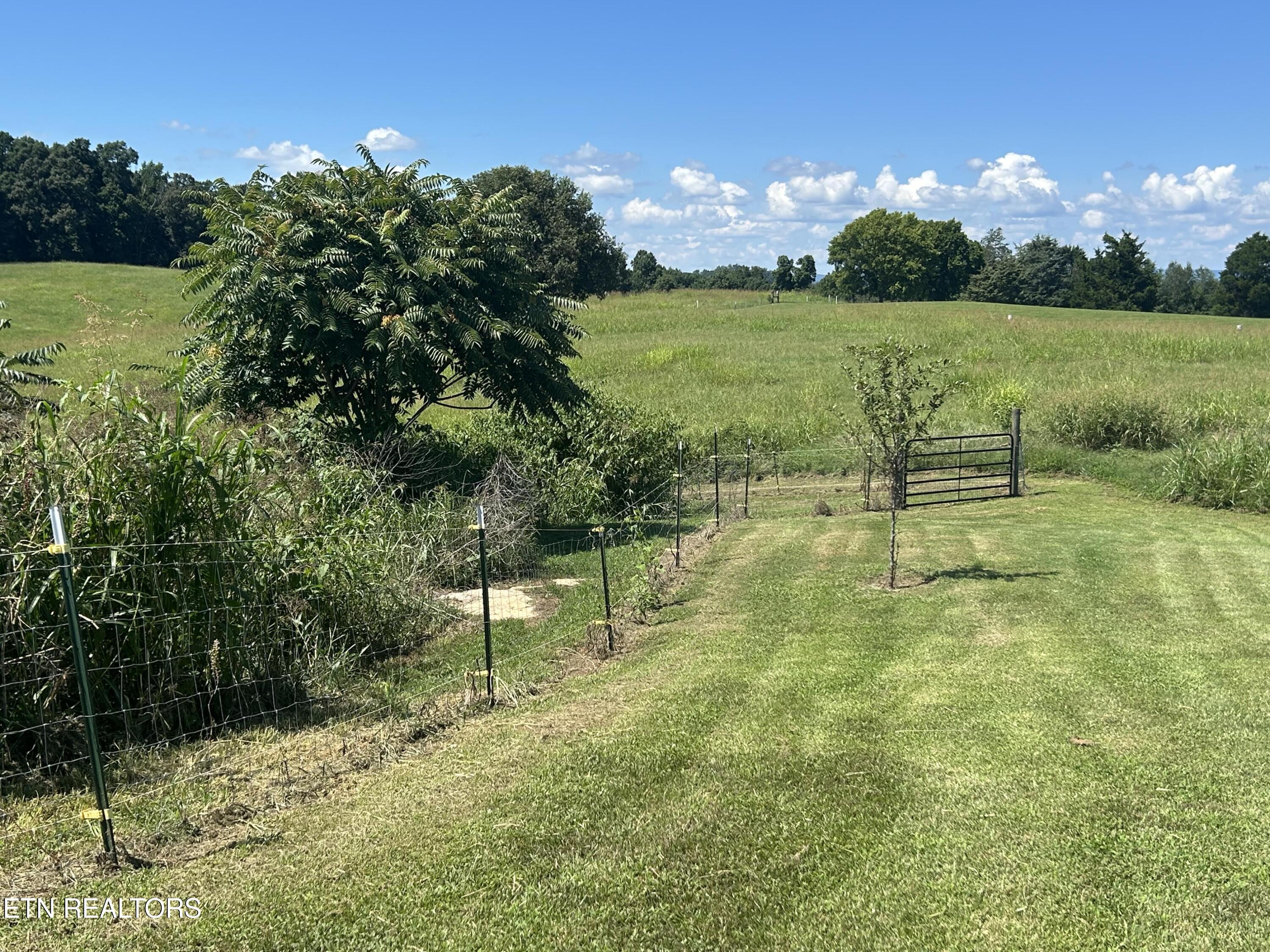 1246 Greenbriar Road Talbott, TN 37877 - Photo 30 of 31 30_beyc6a67dc3bdcccd