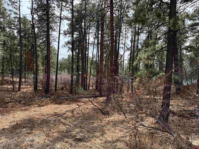 a view of outdoor space with trees