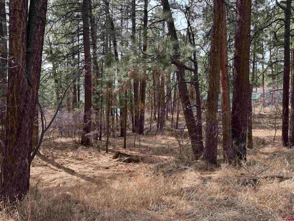 a view of outdoor space with trees