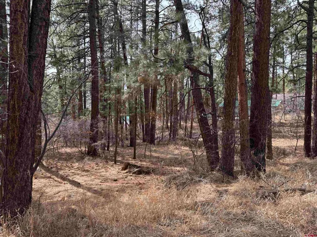 a view of outdoor space with trees