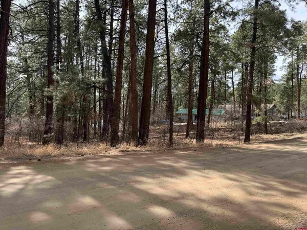 $75,000 | 102 East Valley View Drive, Bayfield, CO 81122