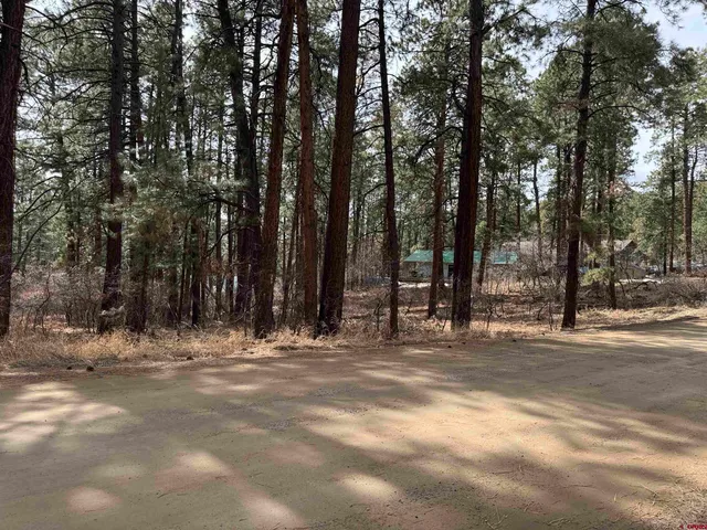 $75,000 | 102 East Valley View Drive, Bayfield, CO 81122