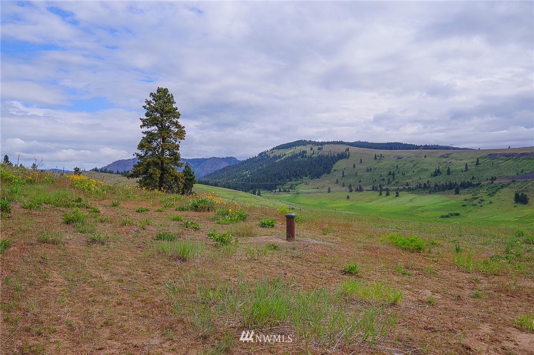 20-xx Low Road Cle Elum, WA 98922 - Photo 2 of 12 Gallery Image 2