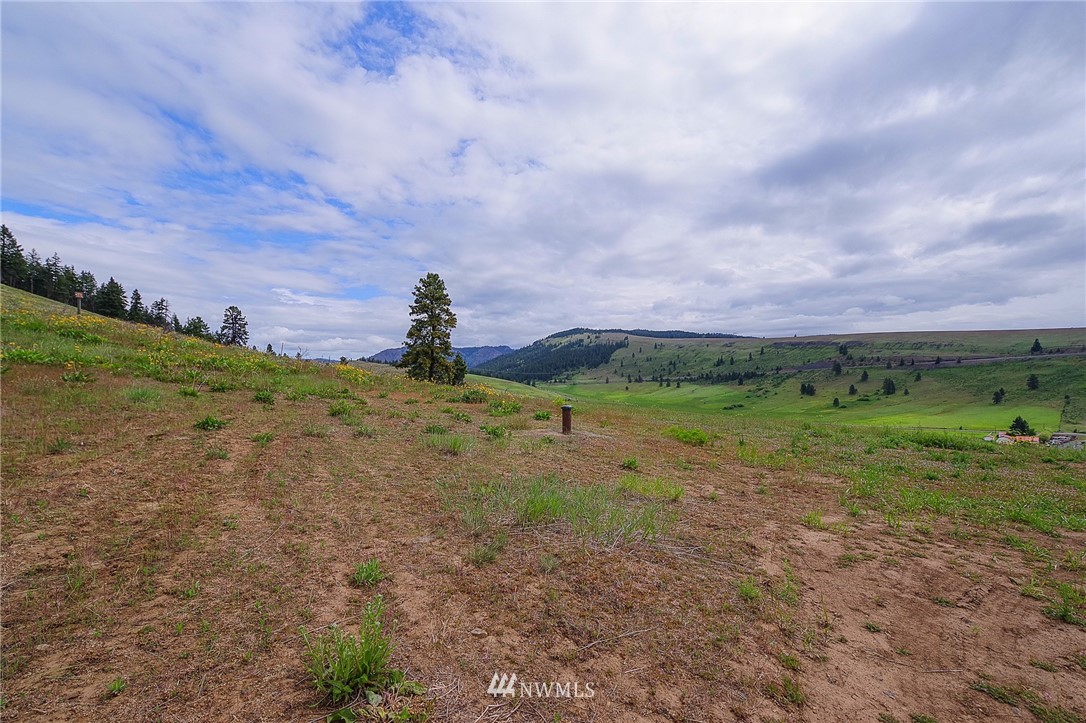 20-xx Low Road Cle Elum, WA 98922 - Photo 3 of 12 Gallery Image 3