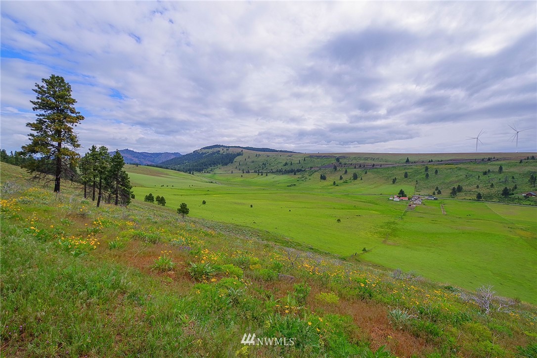 20-xx Low Road Cle Elum, WA 98922 - Photo 4 of 12 Gallery Image 4