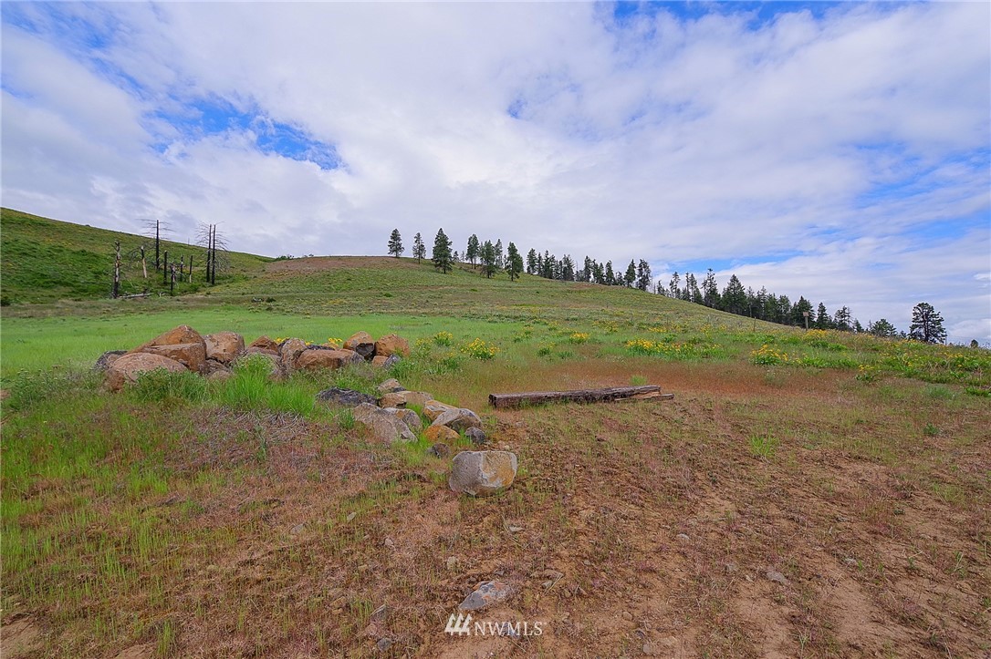 20-xx Low Road Cle Elum, WA 98922 - Photo 8 of 12 Gallery Image 8
