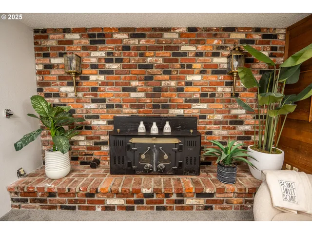 a view of fireplace with potted plant in front of it