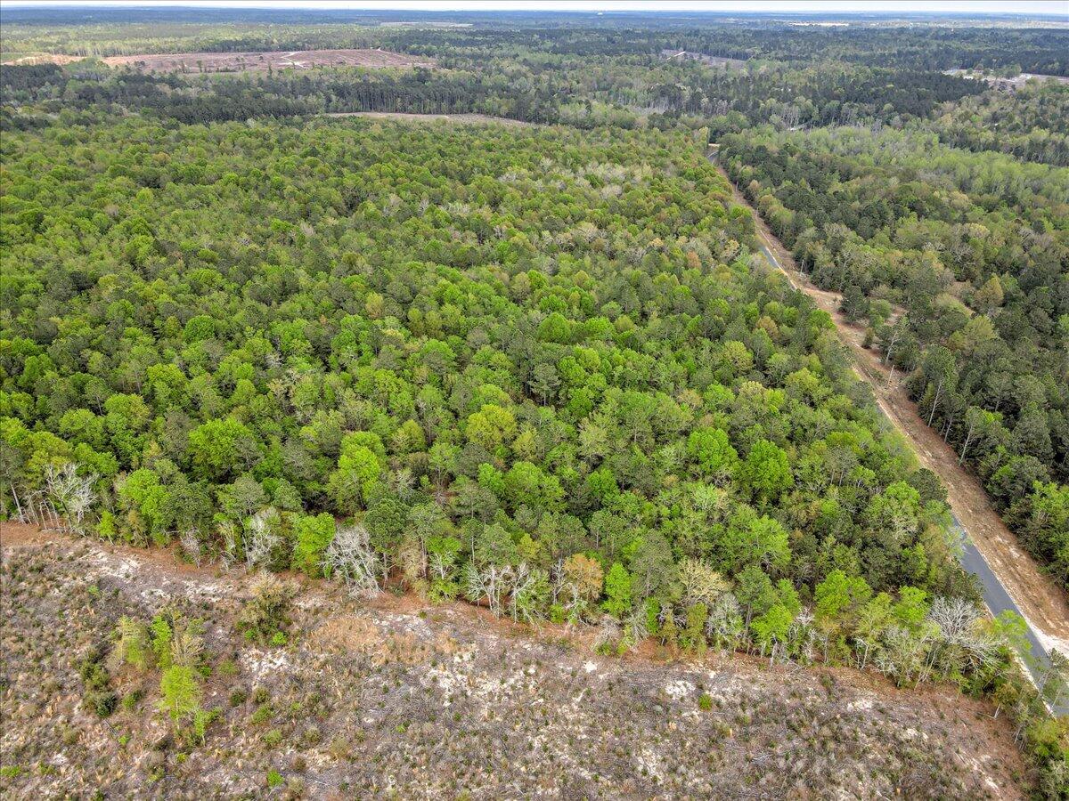 0 Millers Pond Road, Unit LOT 2 Salley, SC 29137 - Photo 5 of 13