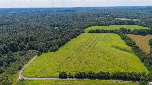 0 Dunlap Road Smithland, KY 42081 - Photo 18 of 23 image011