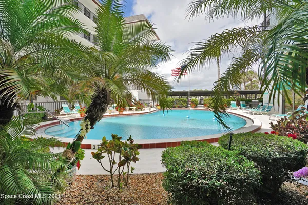 a view of a yard with palm trees