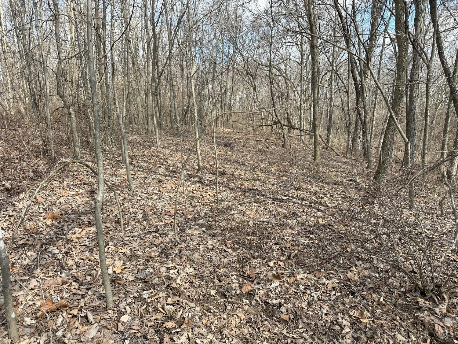0 Wilson Road Winchester, OH 45697 - Photo 9 of 69