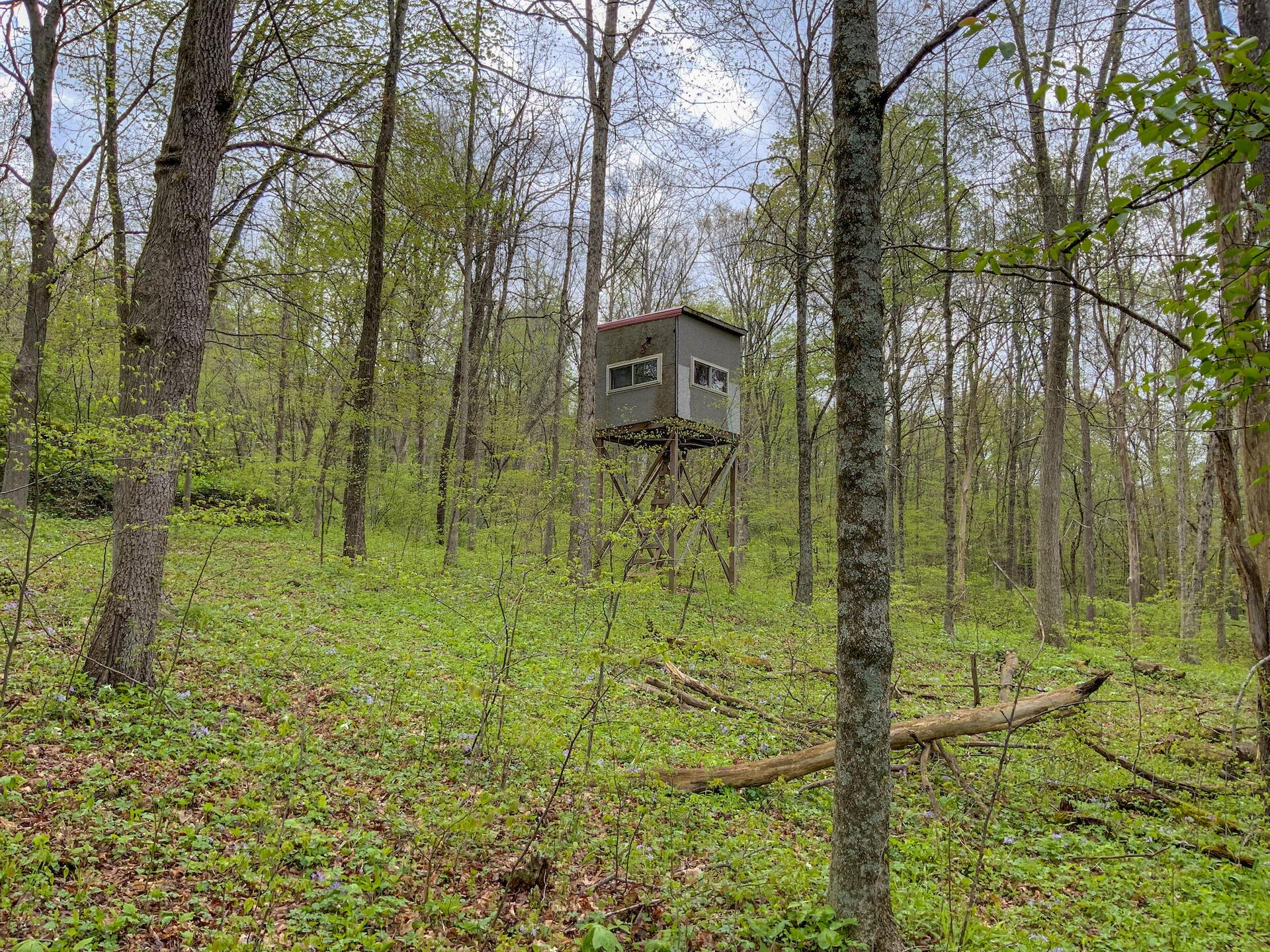 0 Upper Clearfork Road Cadiz, OH 43907 - Photo 12 of 43