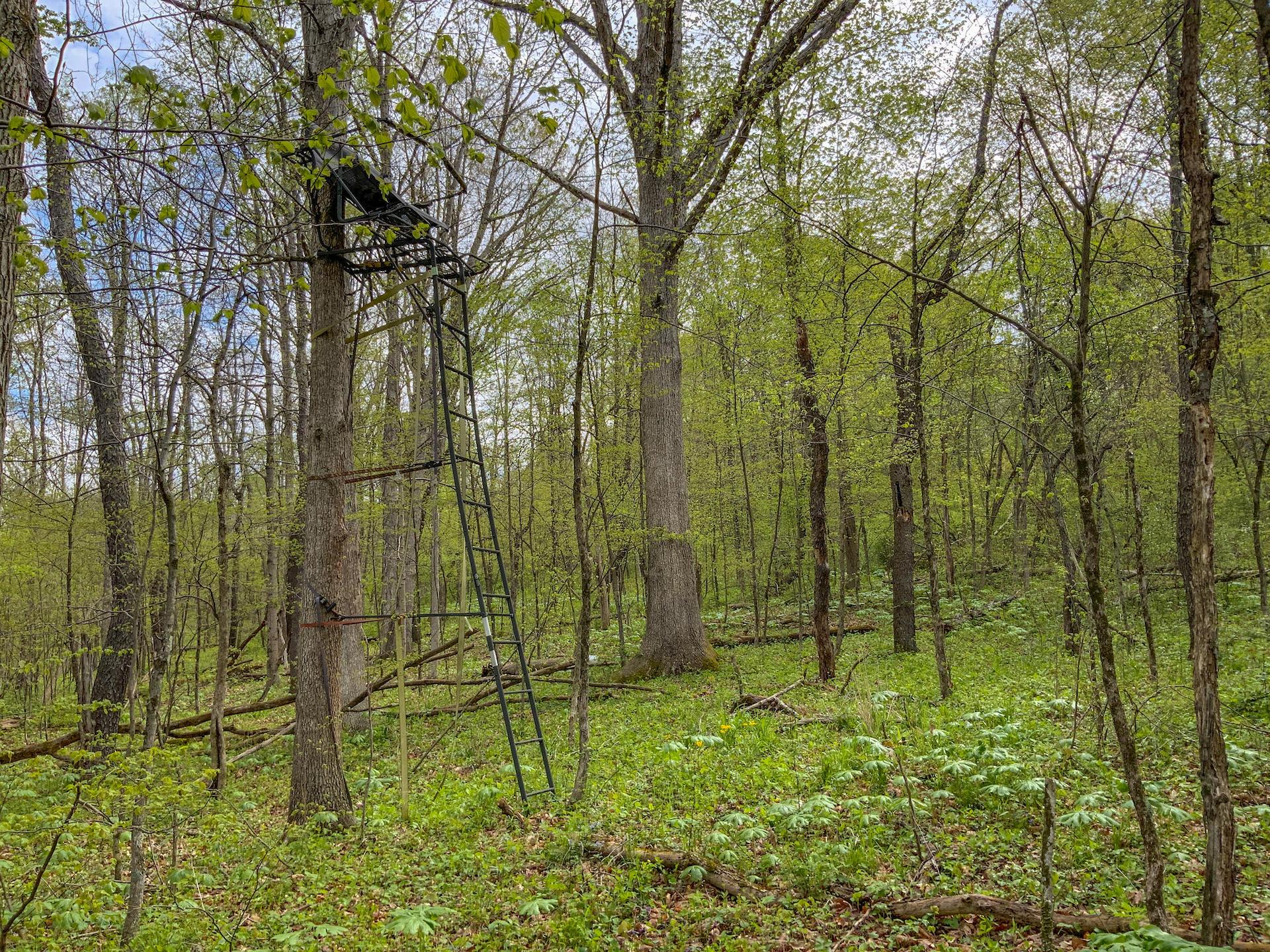 0 Upper Clearfork Road Cadiz, OH 43907 - Photo 17 of 43