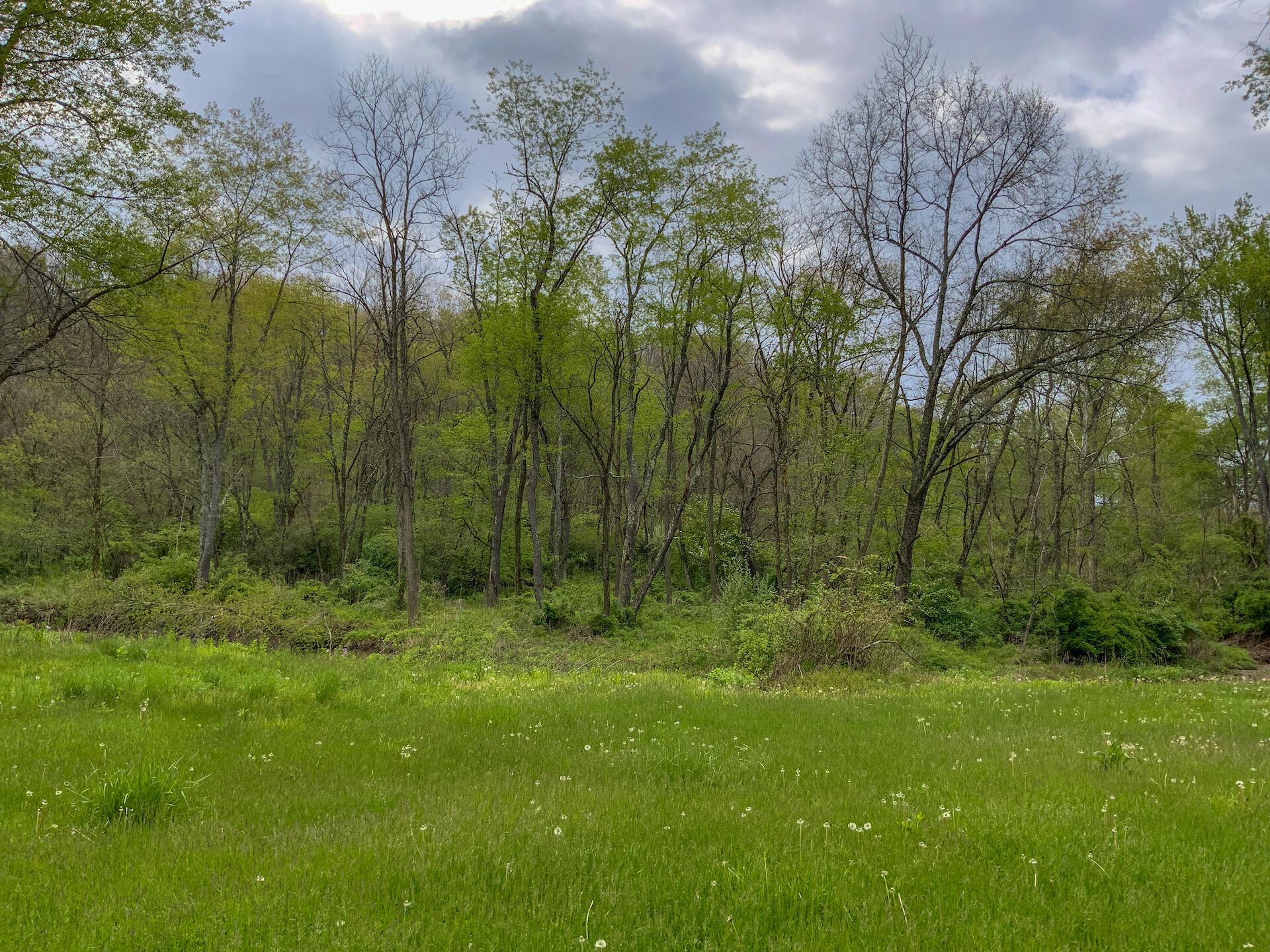 0 Upper Clearfork Road Cadiz, OH 43907 - Photo 2 of 43