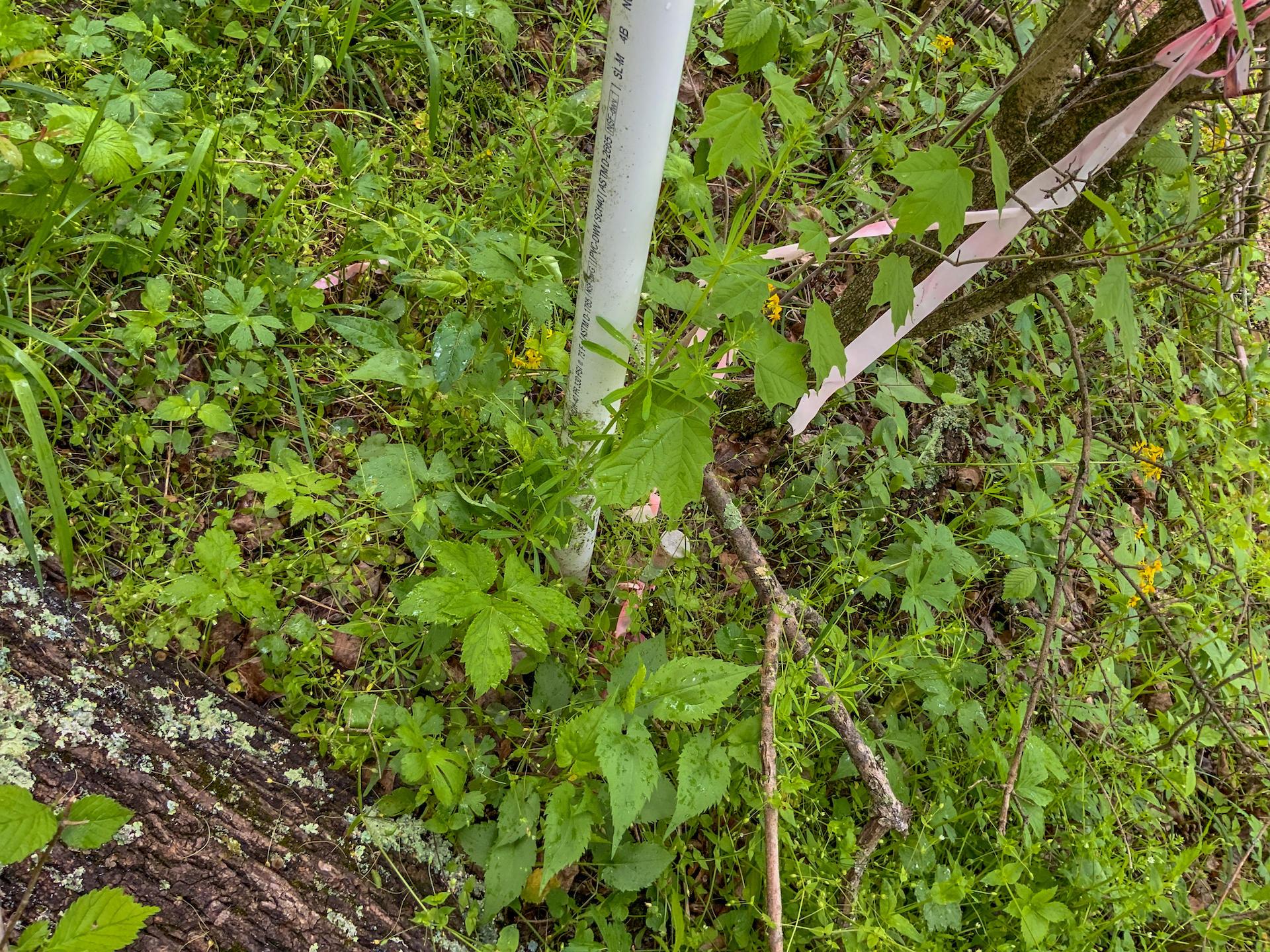 0 Upper Clearfork Road Cadiz, OH 43907 - Photo 26 of 43