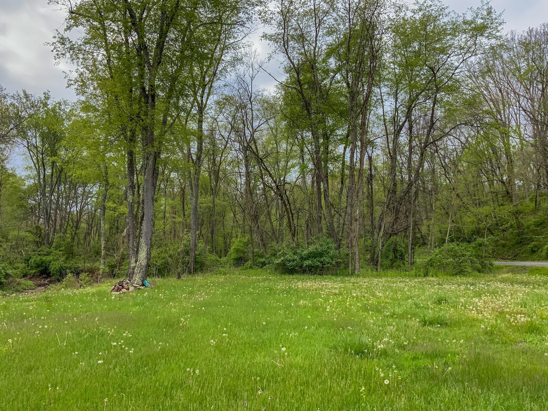 0 Upper Clearfork Road Cadiz, OH 43907 - Photo 3 of 43