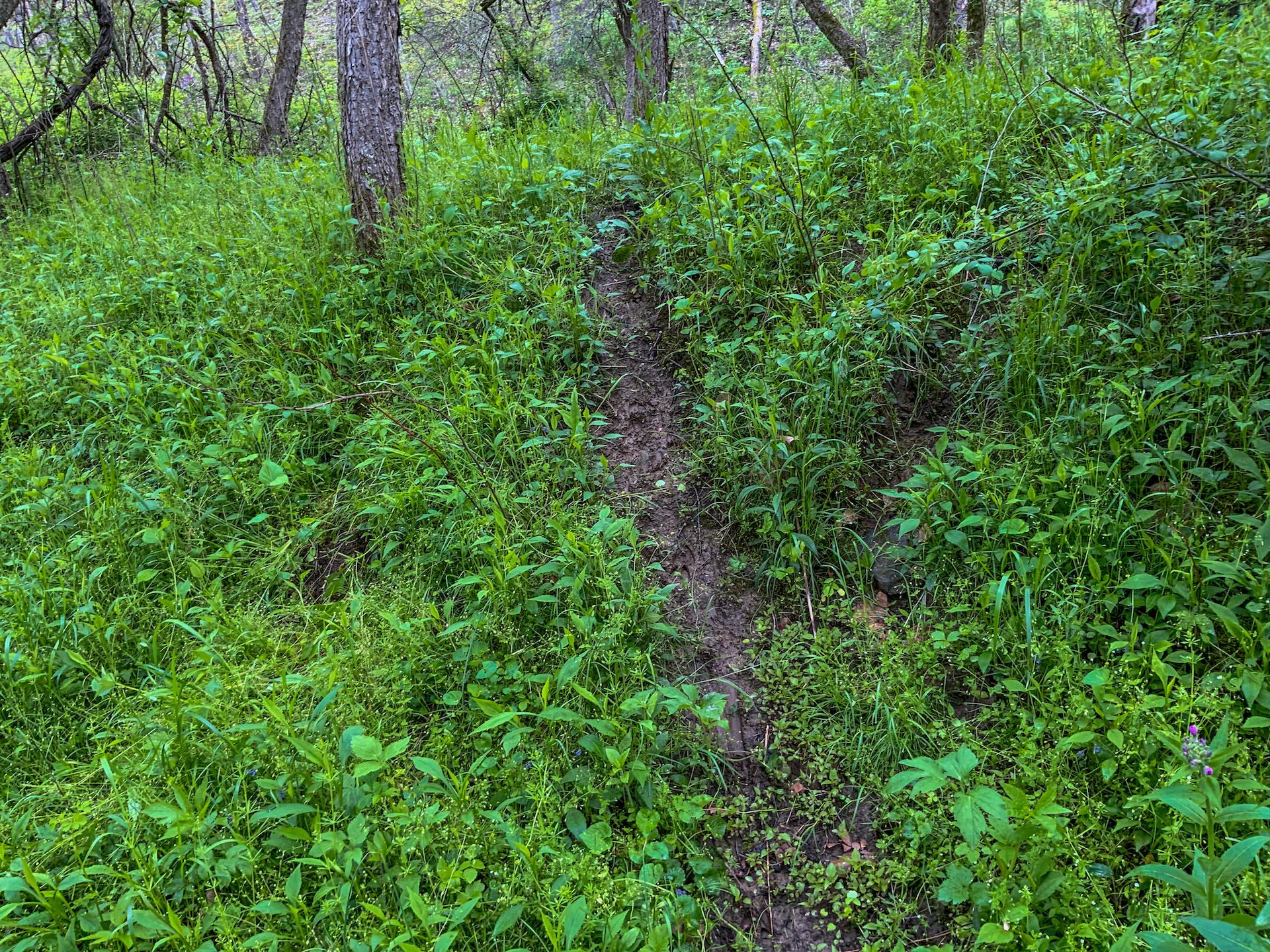 0 Upper Clearfork Road Cadiz, OH 43907 - Photo 38 of 43