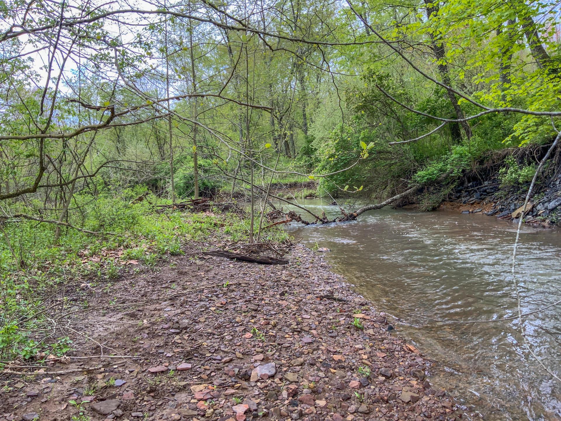 0 Upper Clearfork Road Cadiz, OH 43907 - Photo 40 of 43
