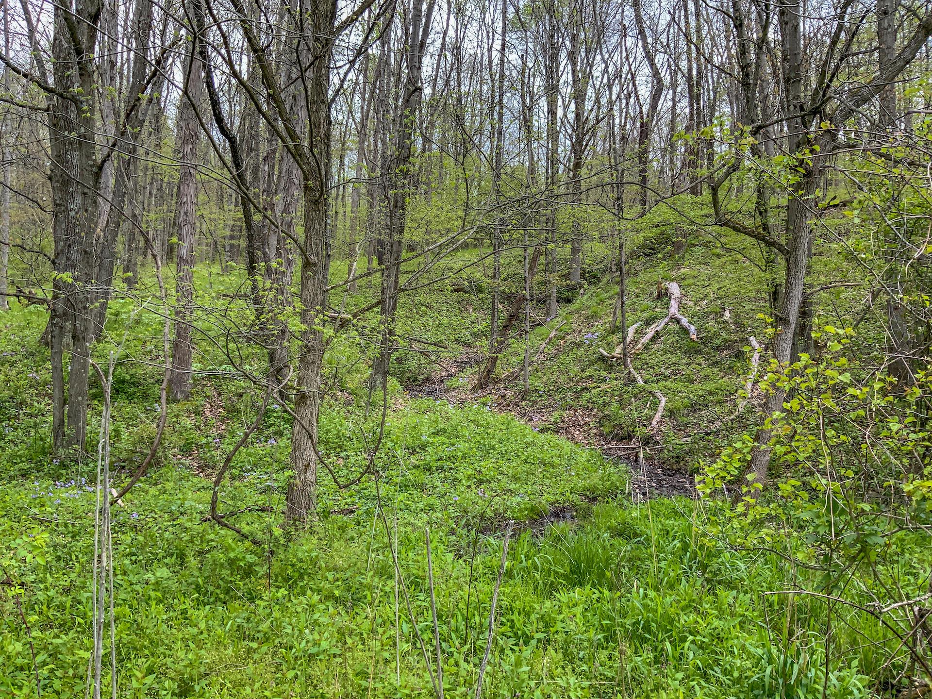 0 Upper Clearfork Road Cadiz, OH 43907 - Photo 41 of 43