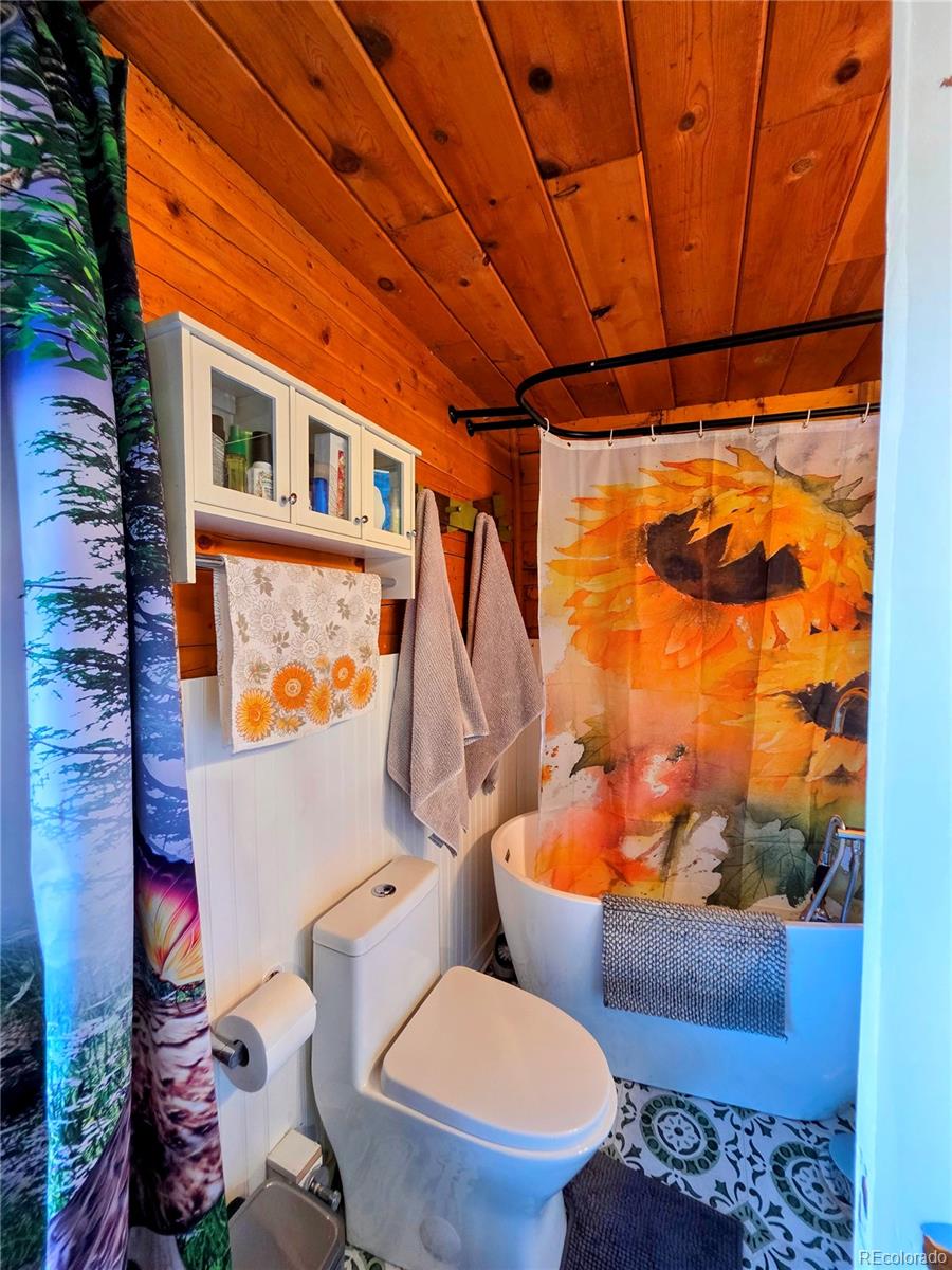 163 Ward Street Bailey, CO 80421 - Photo 15 of 30