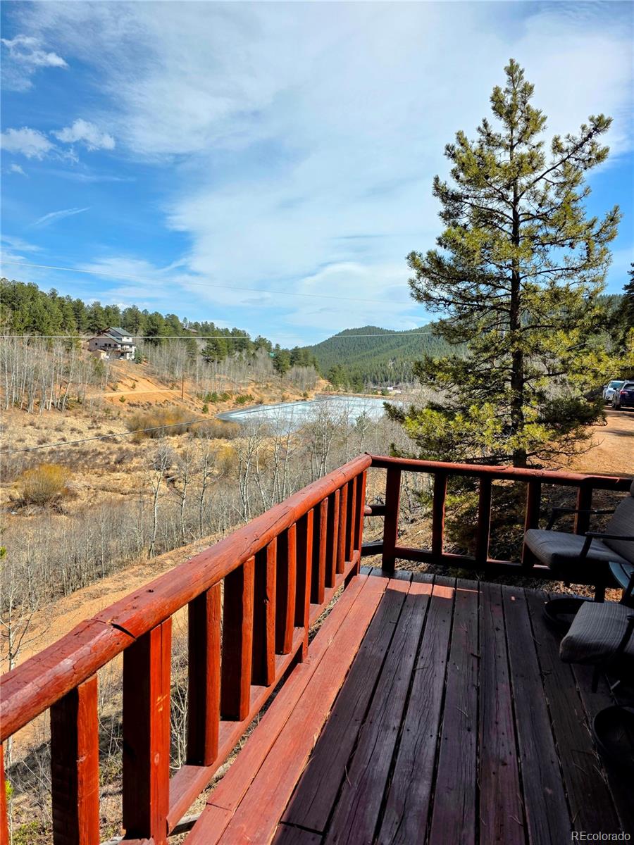 163 Ward Street Bailey, CO 80421 - Photo 17 of 30