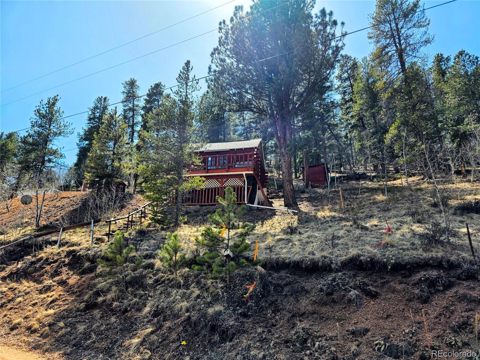 163 Ward Street Bailey, CO 80421 - Photo 20 of 30