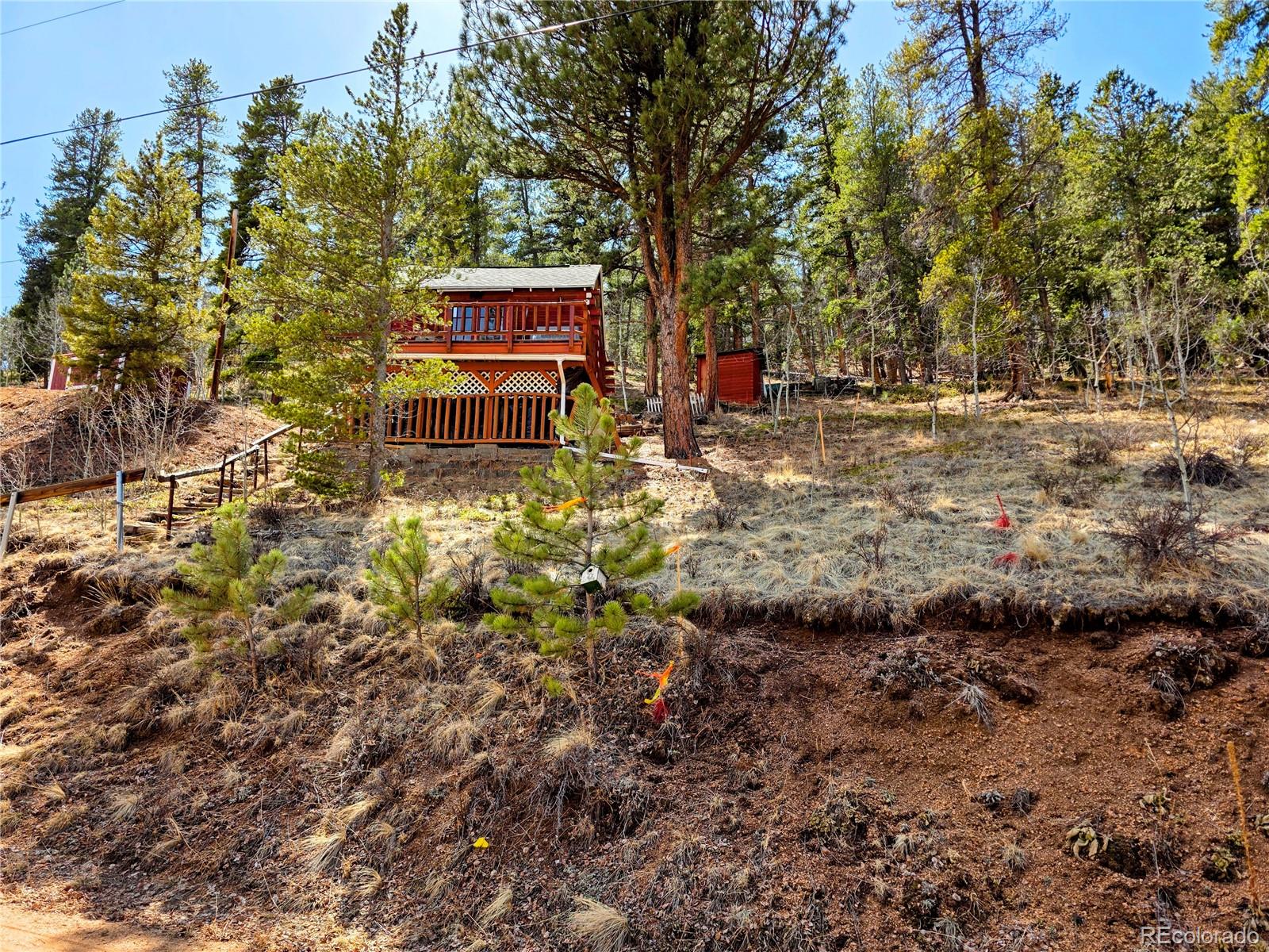 163 Ward Street Bailey, CO 80421 - Photo 21 of 30