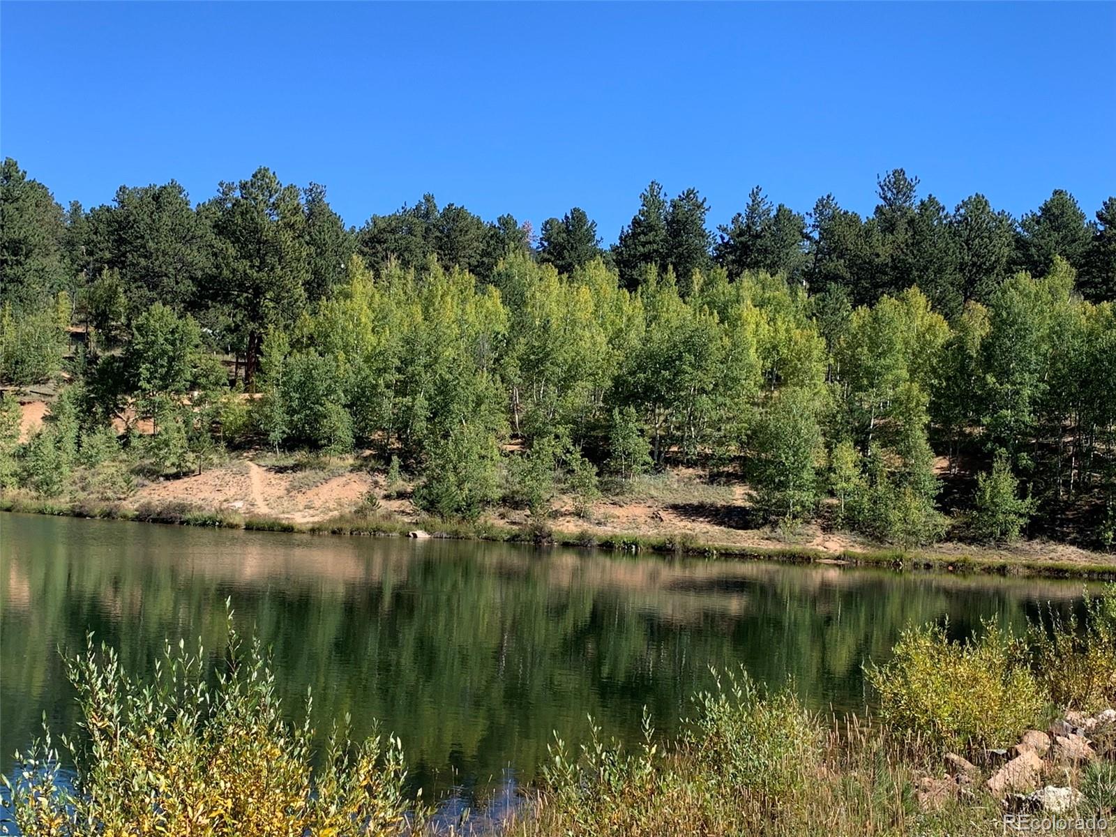 163 Ward Street Bailey, CO 80421 - Photo 23 of 30