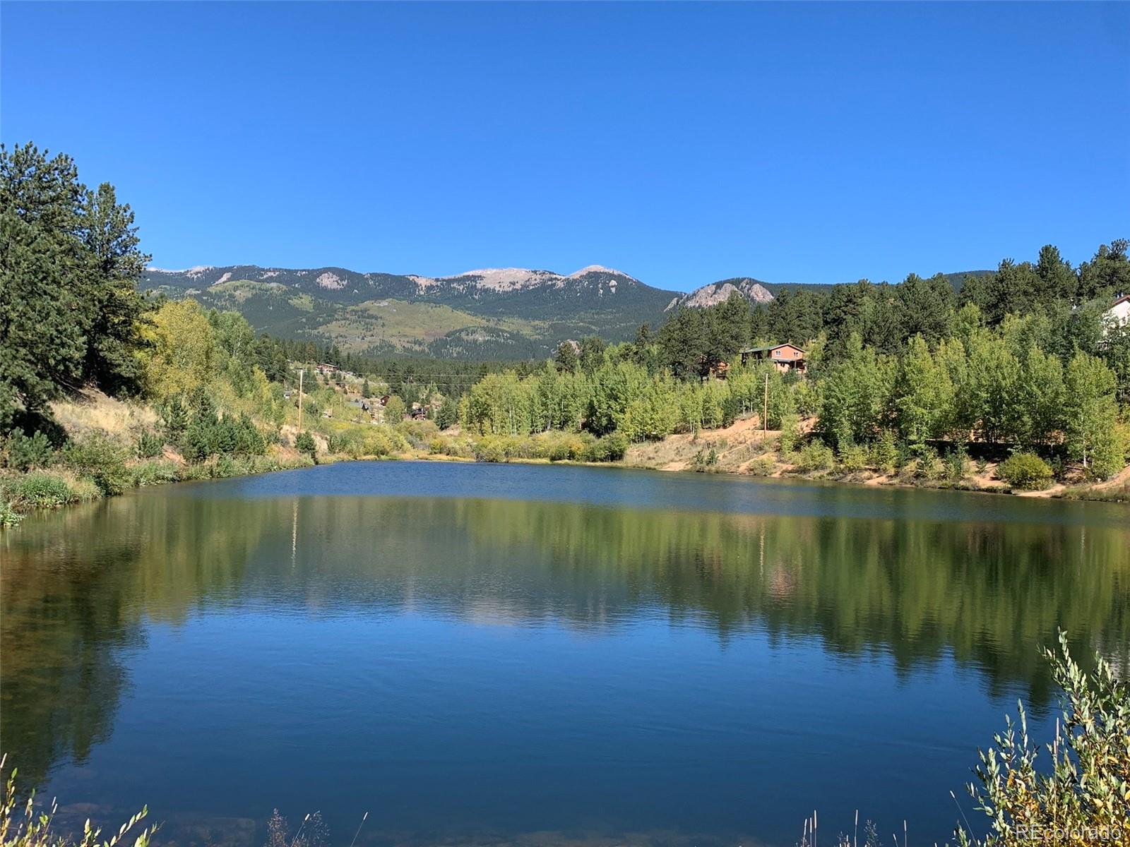 163 Ward Street Bailey, CO 80421 - Photo 24 of 30