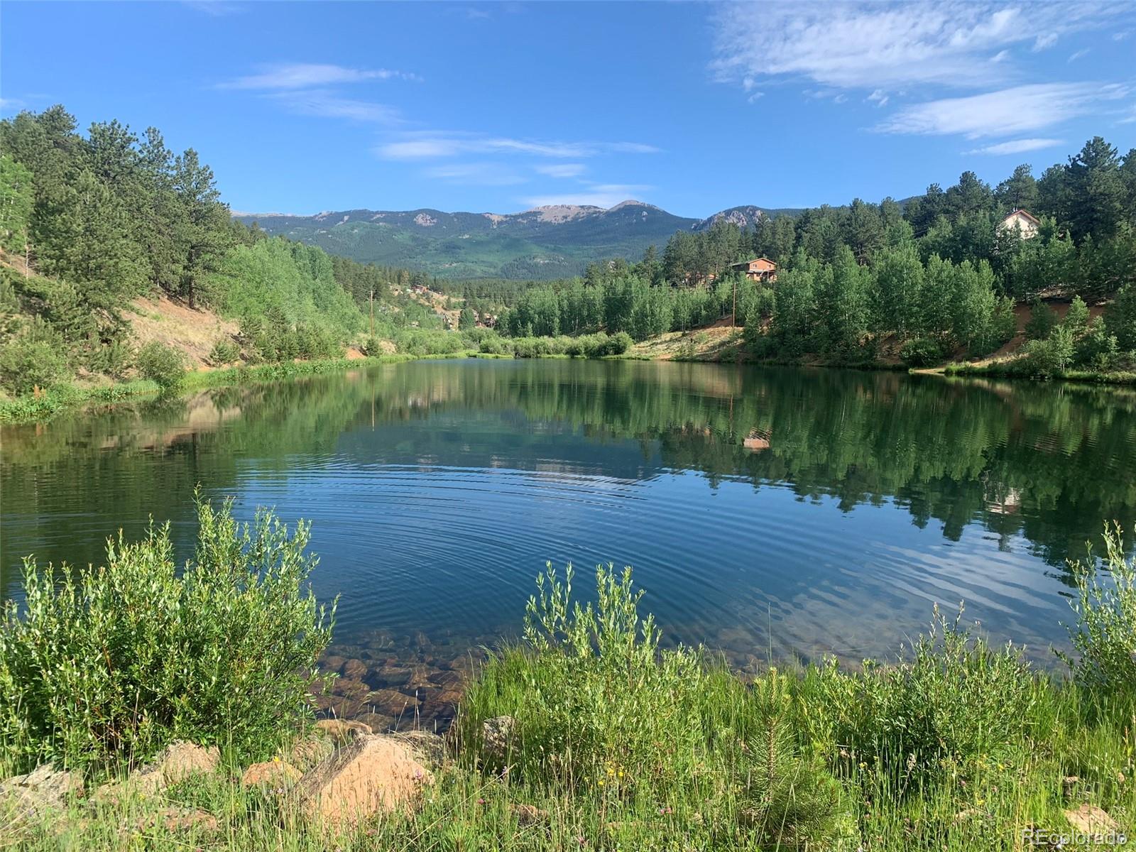 163 Ward Street Bailey, CO 80421 - Photo 28 of 30