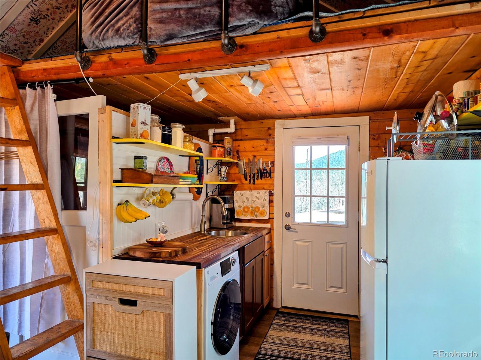 163 Ward Street Bailey, CO 80421 - Photo 8 of 30