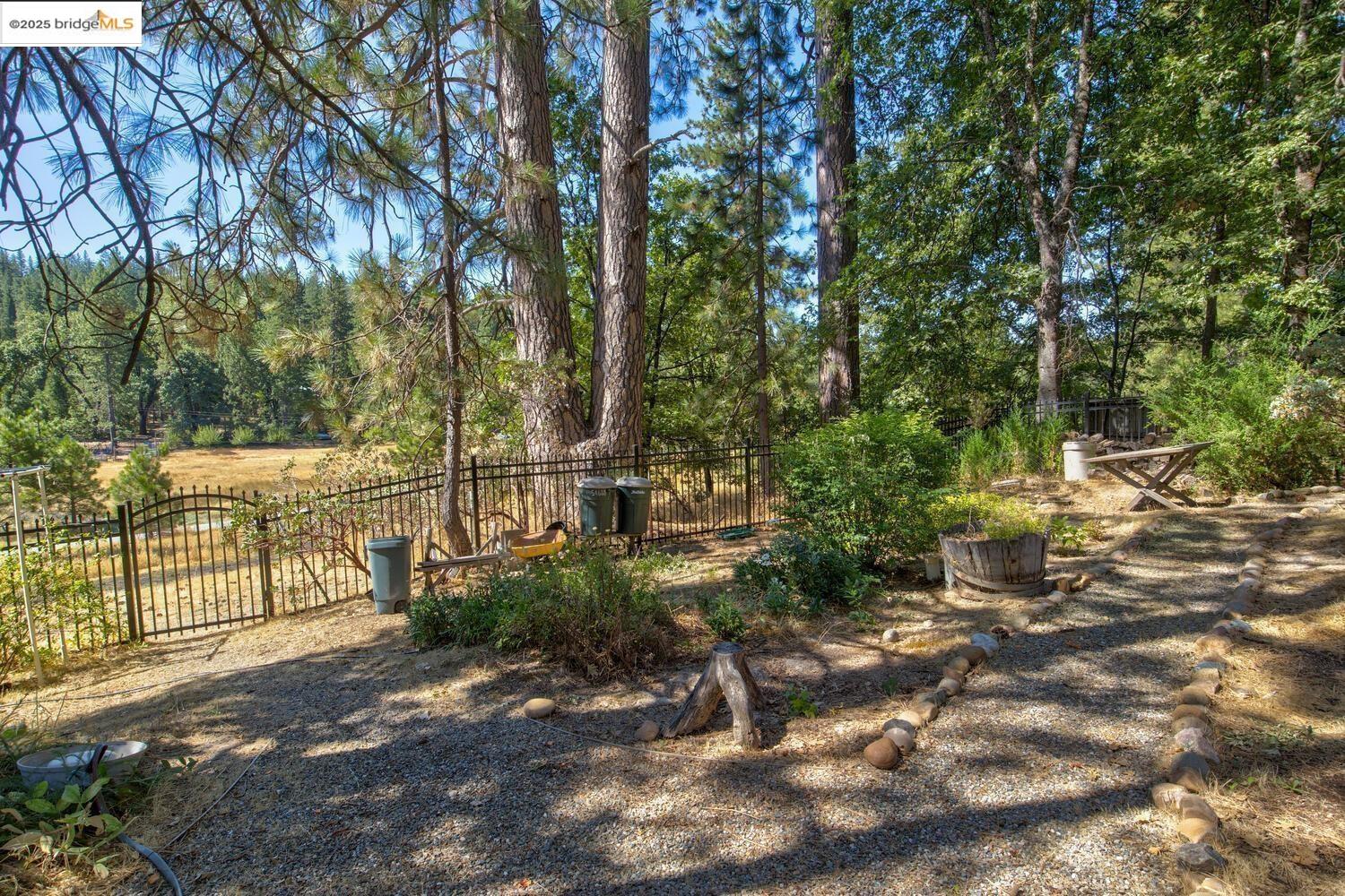 105 Avery Sheep Ranch Road Avery, CA 95224 - Photo 32 of 59 Gallery Image 32