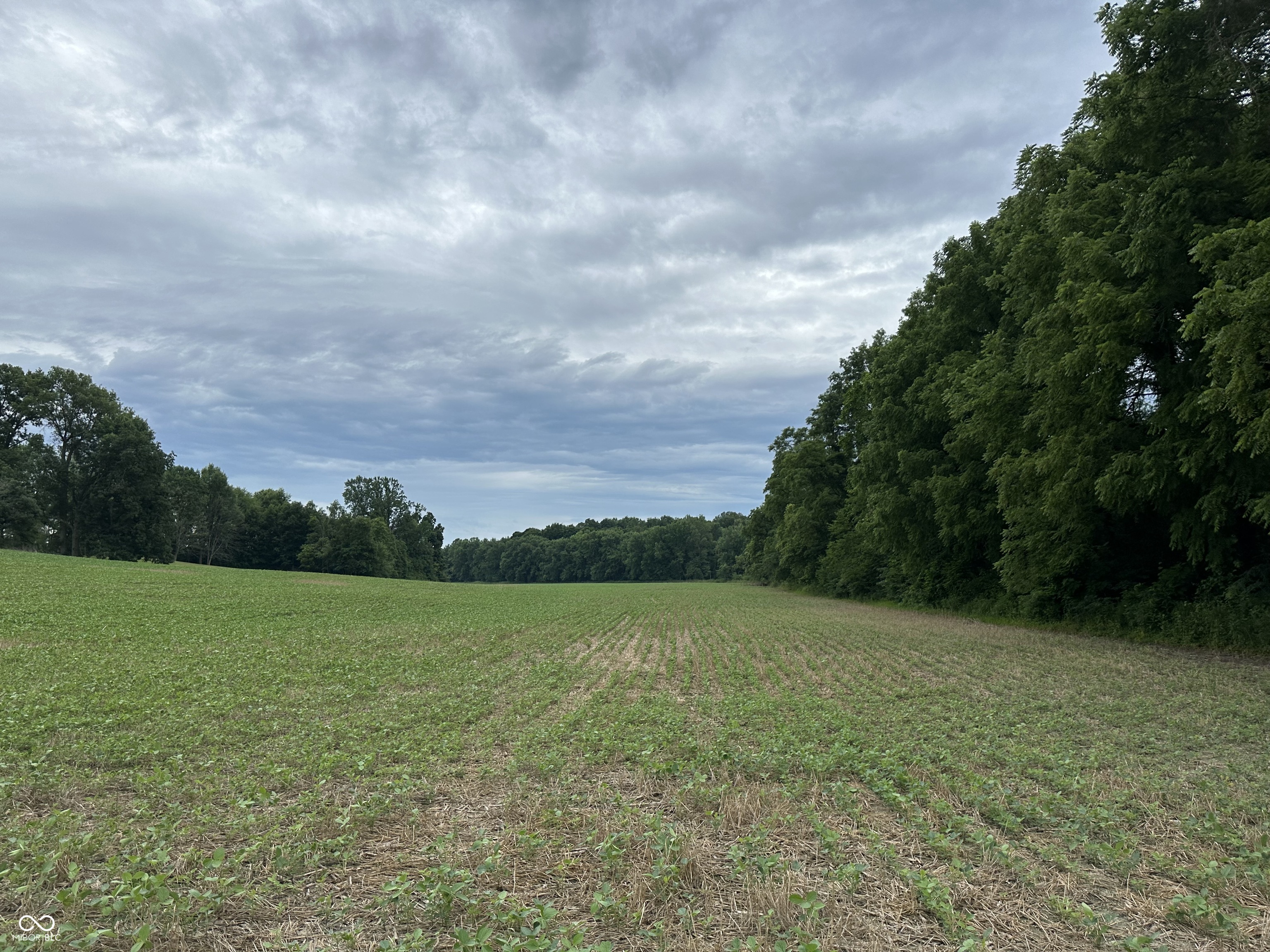 0 1200 South Road South Cloverdale, IN 46120 - Photo 1 of 2 Gallery Image 1