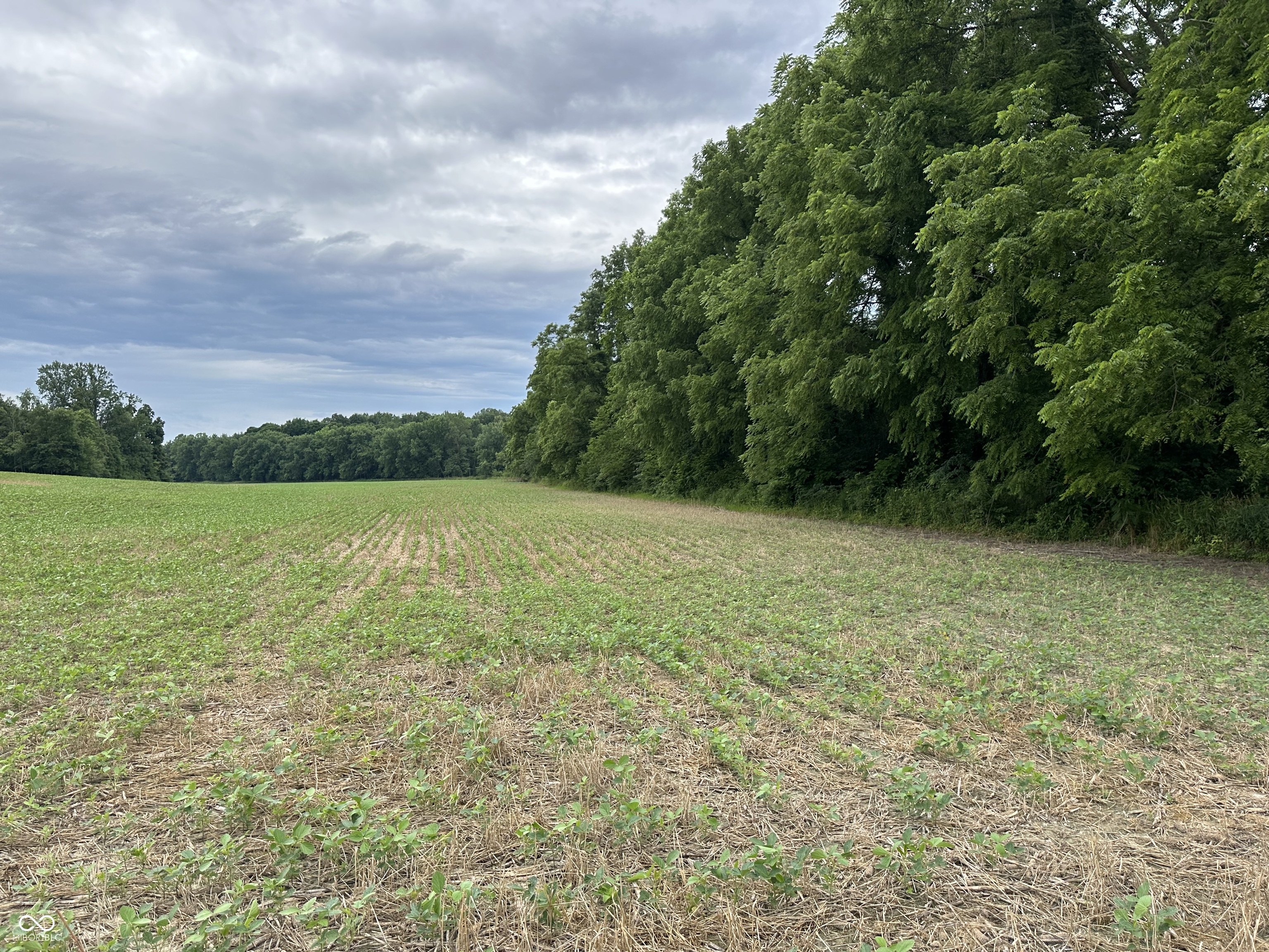 0 1200 South Road South Cloverdale, IN 46120 - Photo 2 of 2 Gallery Image 2