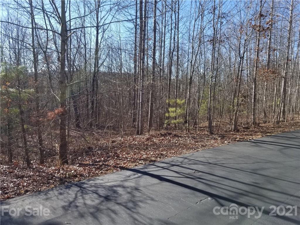 27 South Cross Creek Trail Mill Spring Mill Spring, NC 28756 - Photo 1 of 30 a view of a backyard with trees