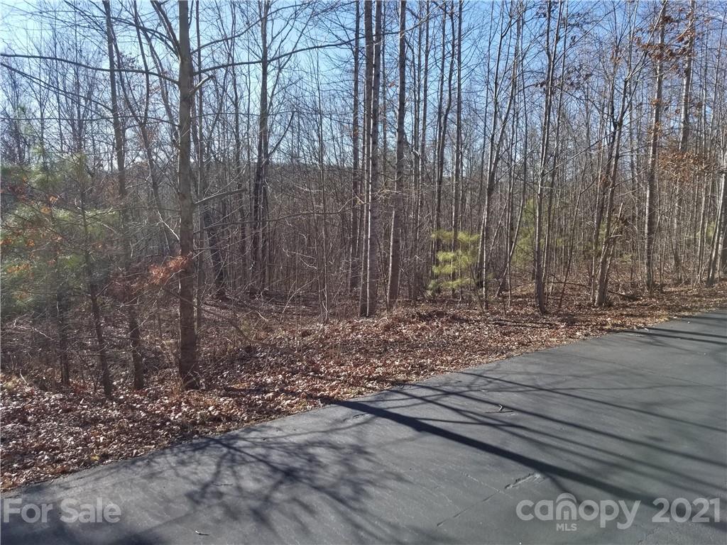 27 South Cross Creek Trail Mill Spring Mill Spring, NC 28756 - Photo 2 of 30 a view of a backyard