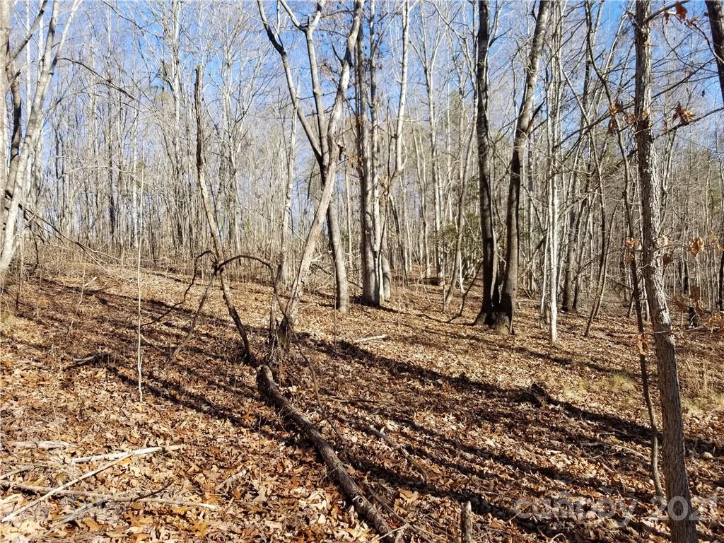 27 South Cross Creek Trail Mill Spring Mill Spring, NC 28756 - Photo 11 of 30 a view of a backyard with large trees