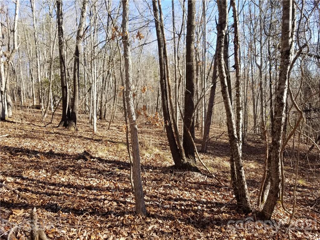 27 South Cross Creek Trail Mill Spring Mill Spring, NC 28756 - Photo 12 of 30 a backyard of a house with lots of green space