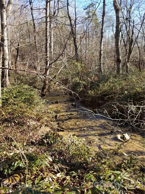 27 South Cross Creek Trail Mill Spring Mill Spring, NC 28756 - Photo 14 of 30 a view of a yard with trees